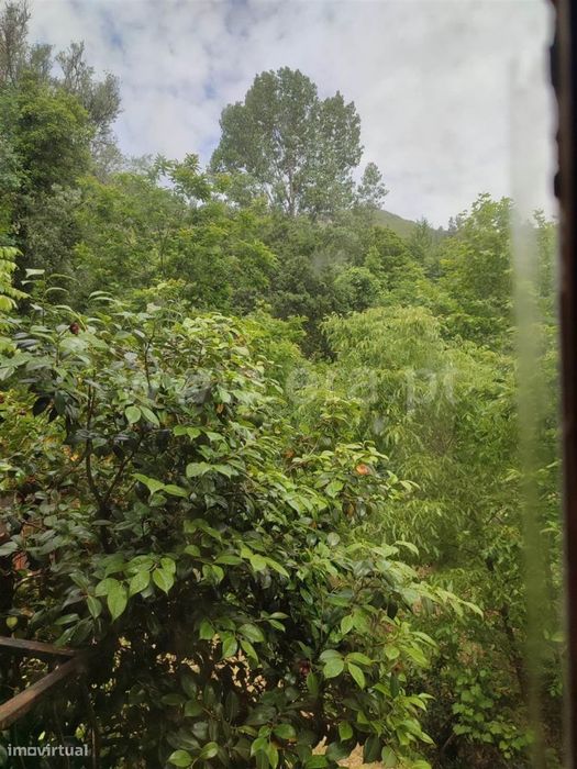 Quinta V3 em Caçarilhe