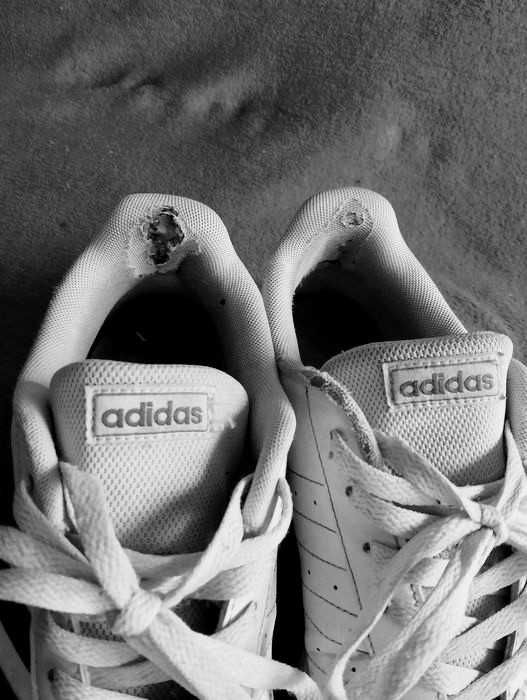 ADIDAS. Buty męskie.