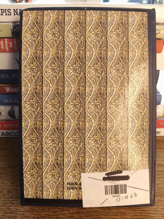 Książka Panna nikt ⁷³