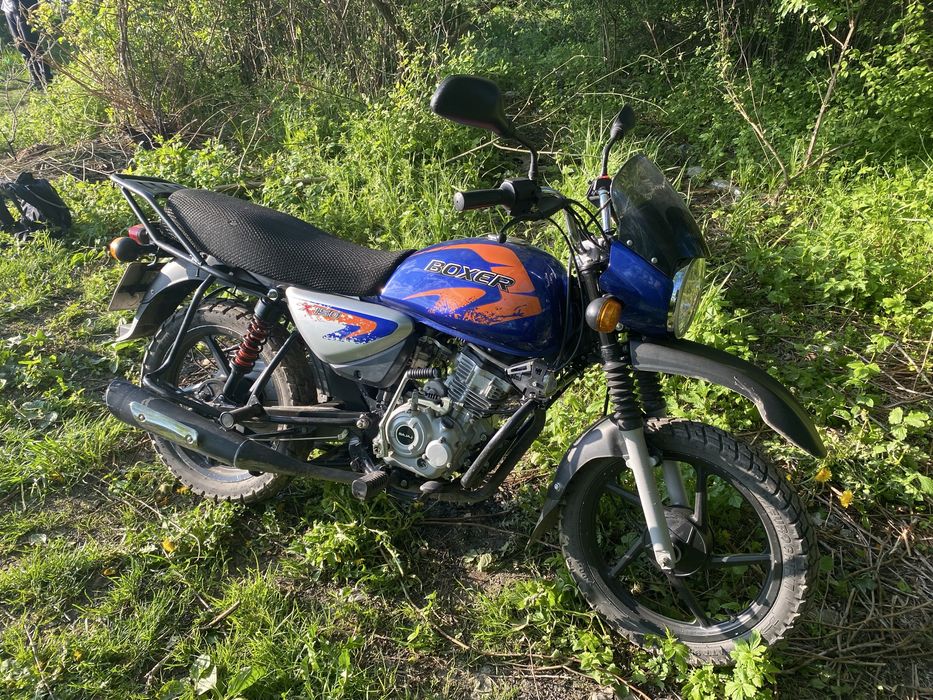 Продам boxer  x150