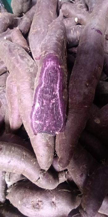 Дієтичний екологічний Батат