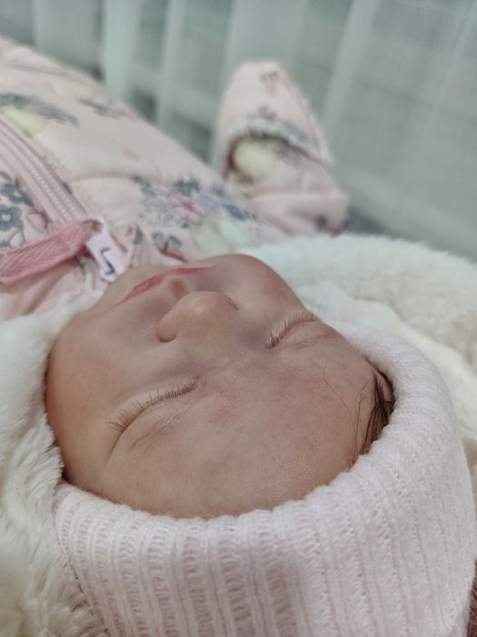 Реалборн, реборн реалістичний