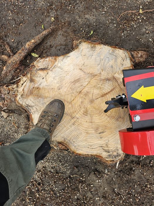 Frezowanie pni, wycinka drzew, uslugi ogrodnicze, glebogryzarka separa