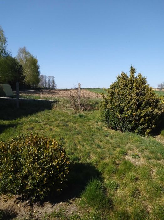 Sprzedam dom na wsi Mąkoszyce 4 km do Kobylej Góry