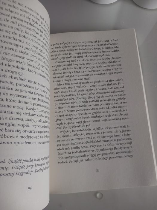 Zen wędrowny Christopher Ives