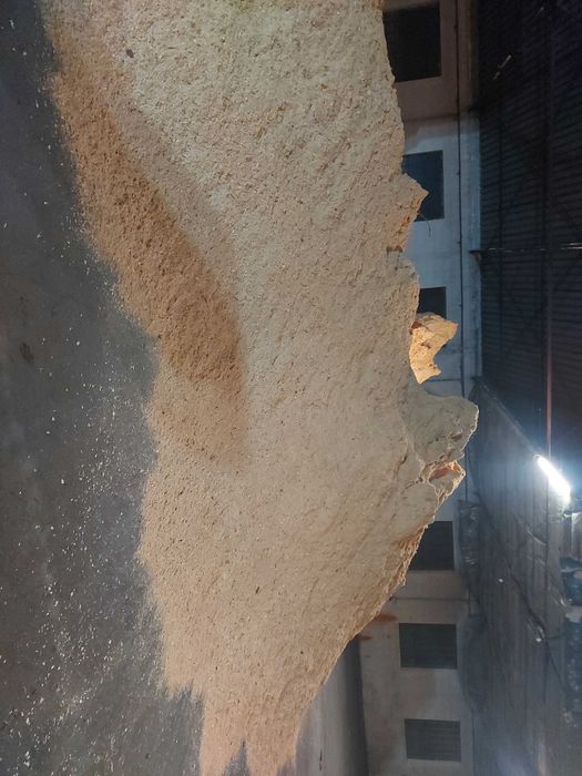 Pellet Sosnowy (iglasty)