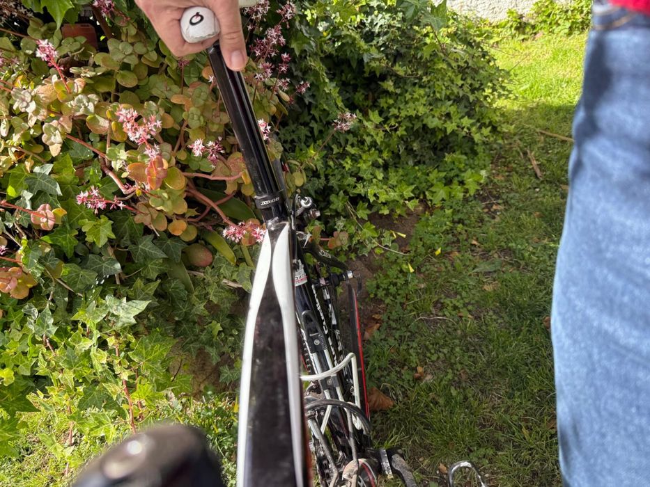 Bicicleta jorbi