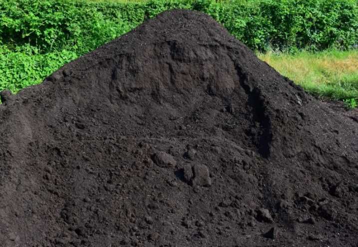 CZARNOZIEM CZYSTA ZIEMIA OGRODOWA siana Koparka humus dostawa Trawnik