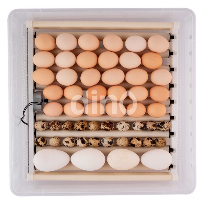 Inkubator lęgowy automatyczny DINO do 56 jaj GĘSICH KACZYCH KURCZĄT