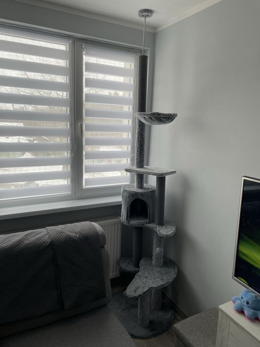 Drapak dla kota pionowy