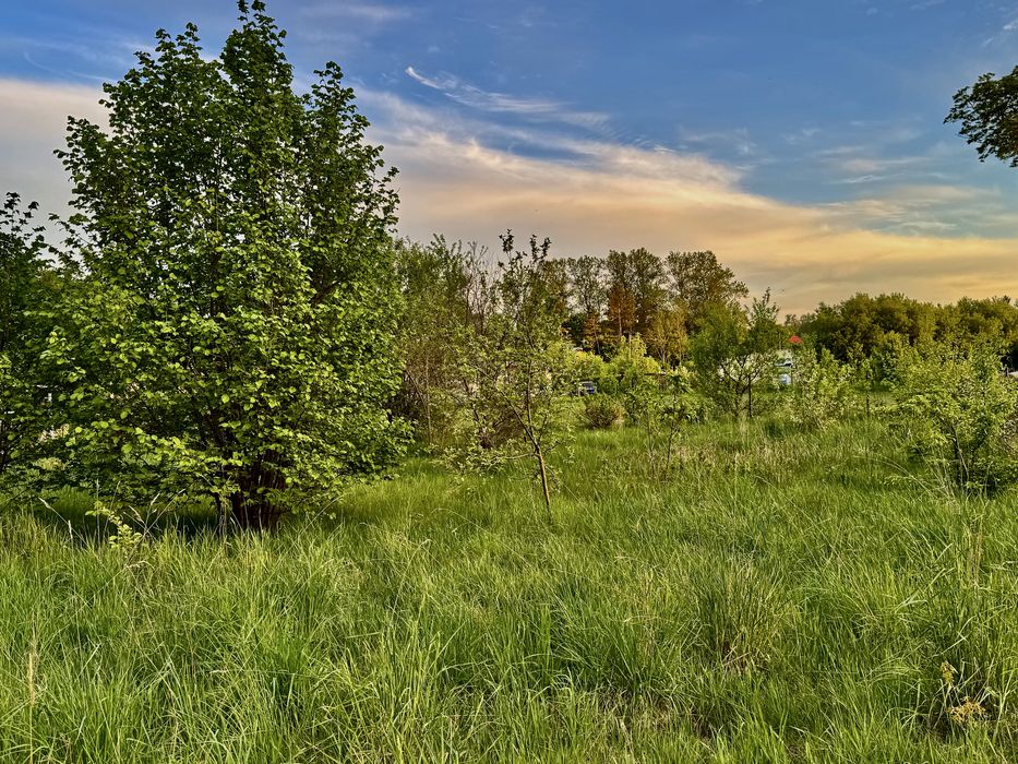 Działka z warunkami zabudowy 3770m2