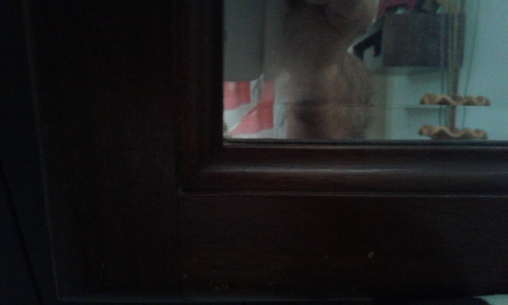 Espelho com moldura em madeira