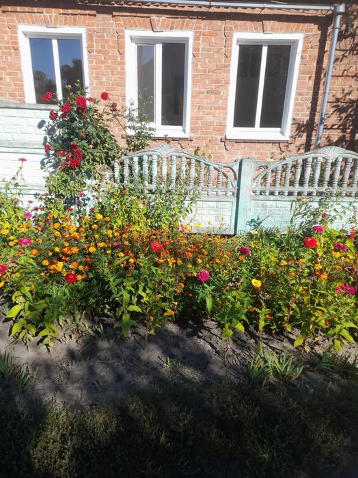 Продаж будинка район Басів