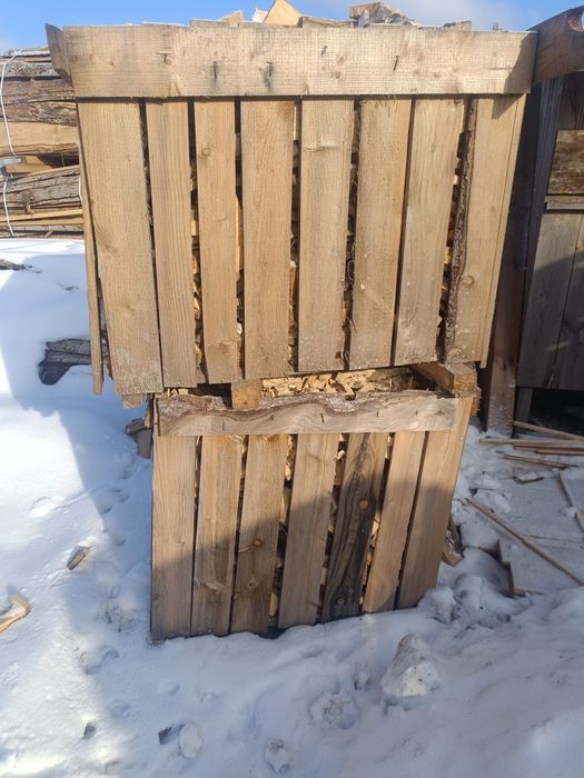 Obrzynki sosnowe jodłowe