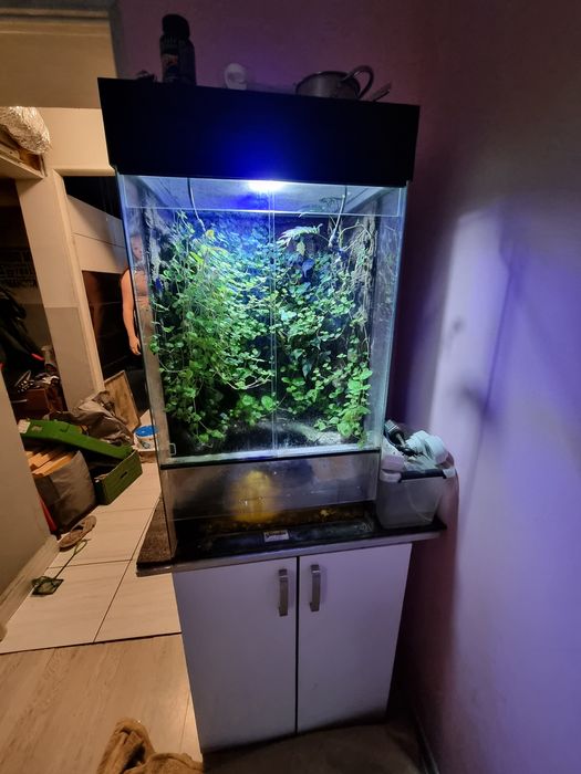 Terrarium Terradise  50x40x80
