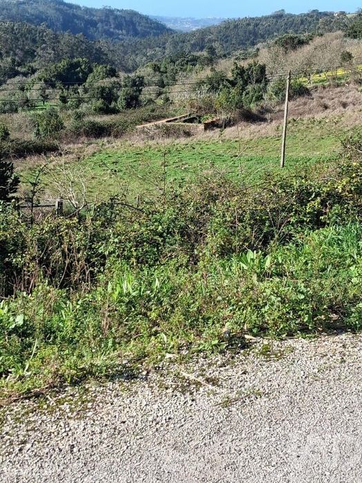 Terreno misto em Turquel