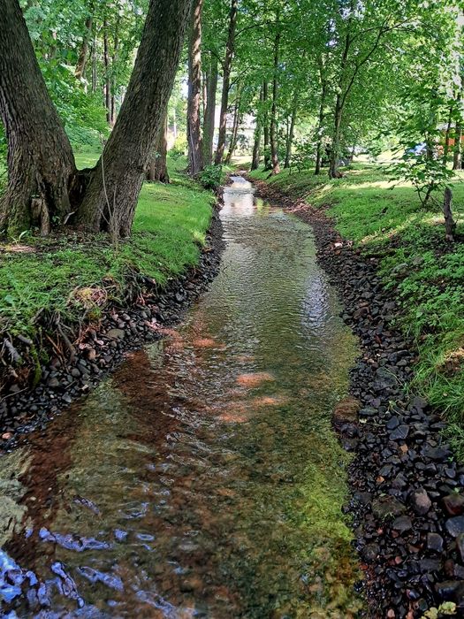 Domek nad jeziorem, jacuzzi ,rzeczka, Giżycko,Mazury, wolne terminy