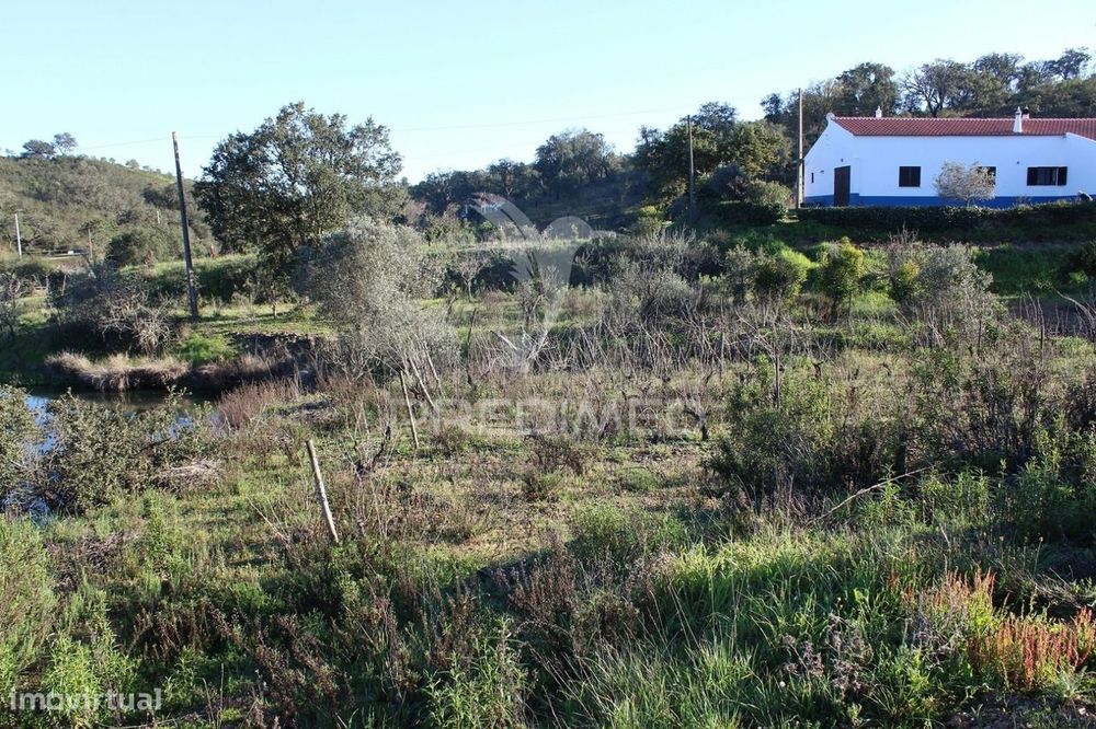 Vende-se Terreno Rústico em São Bartolomeu de Messines — São Bartolomeu de Messines, Faro