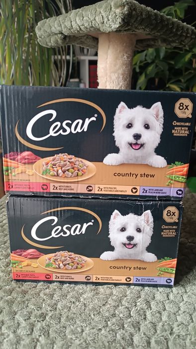 Karma dla psa Cesar  24 x 150g