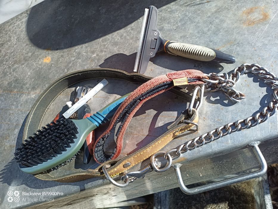 5 utensílios para cão de grande porte429755187426775046
