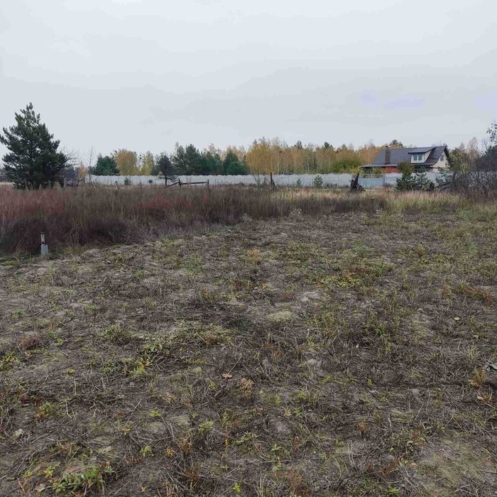 Продаж  ділянки 40 соток з хатою, с. Жукин,