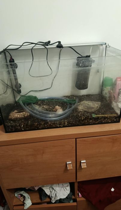 Posiadam akwarium 60l
