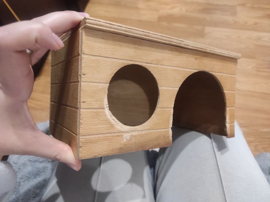 Будинок для морських свинок