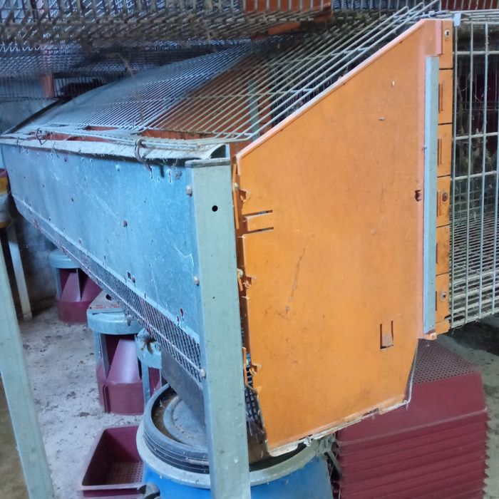 Gaiolas para criação de coelhos