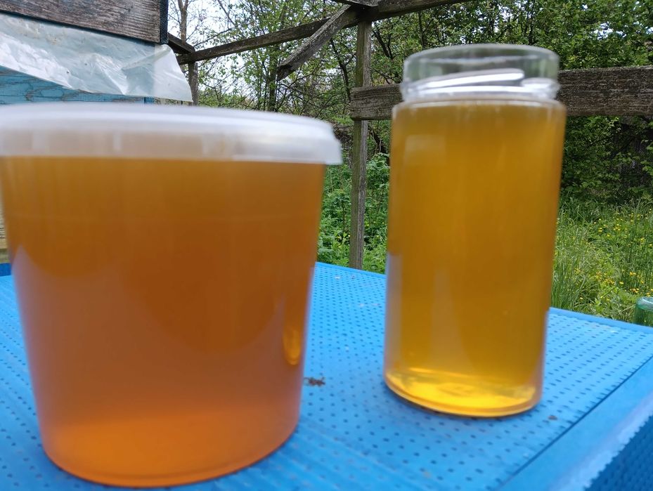 Продам  травневий  мед, смачний і ароматний,