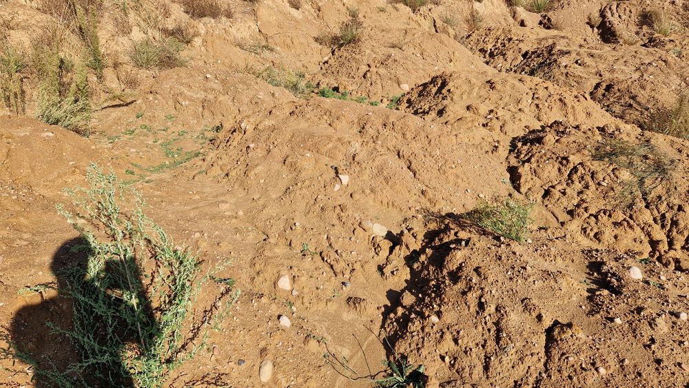 Oddam ziemię z wykopu