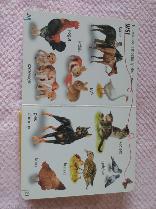 Sprzedam książkę dla dzieci "Zwierzęta żyjące blisko mnie"