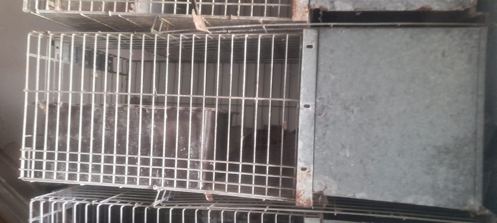 Vendo gaiolas para coelhos