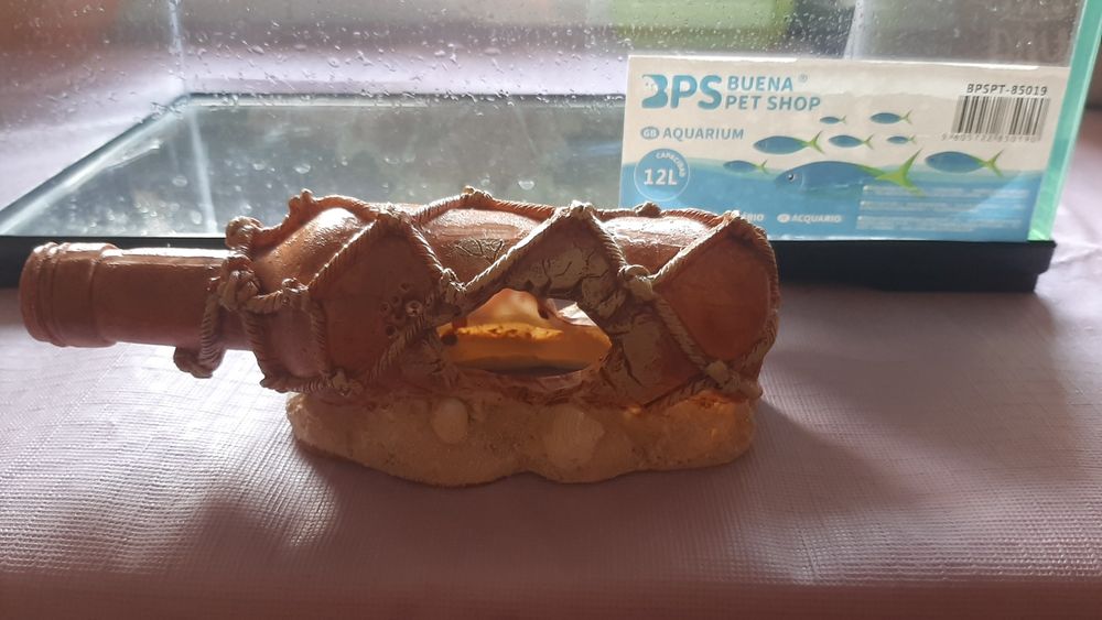 Aquário e acessórios para peixes de água fria
