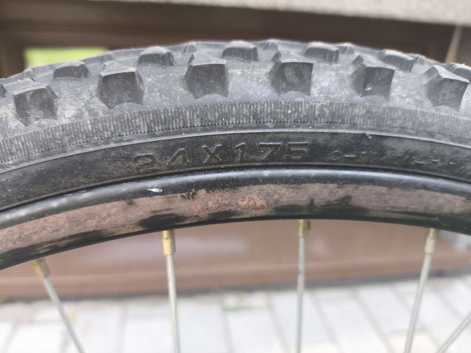 Rower author buffalo