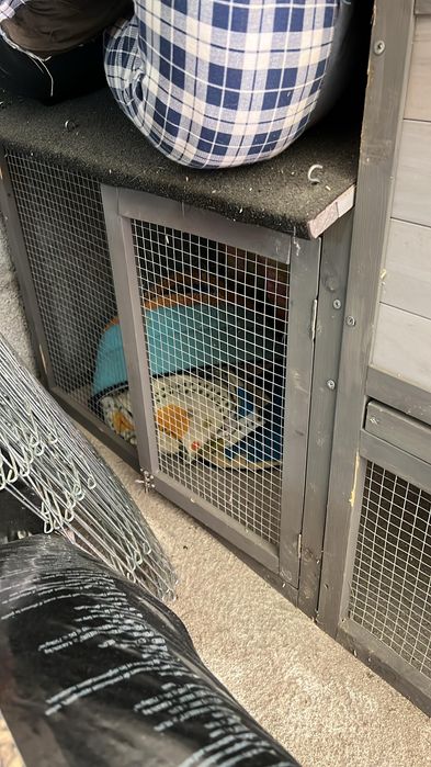 Coelheira em madeira