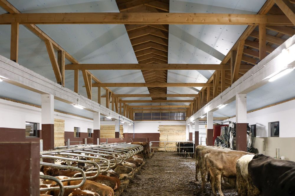 Płyta Ocieplana Ocieplająca do Kurnika Obory Chlewni Styrodur XPS AGRO