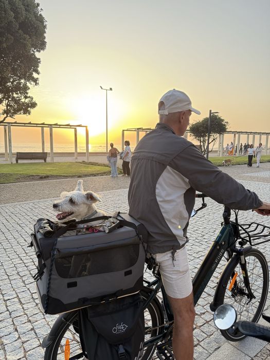 Bicicleta elétrica Fiddo C11 pro + extras