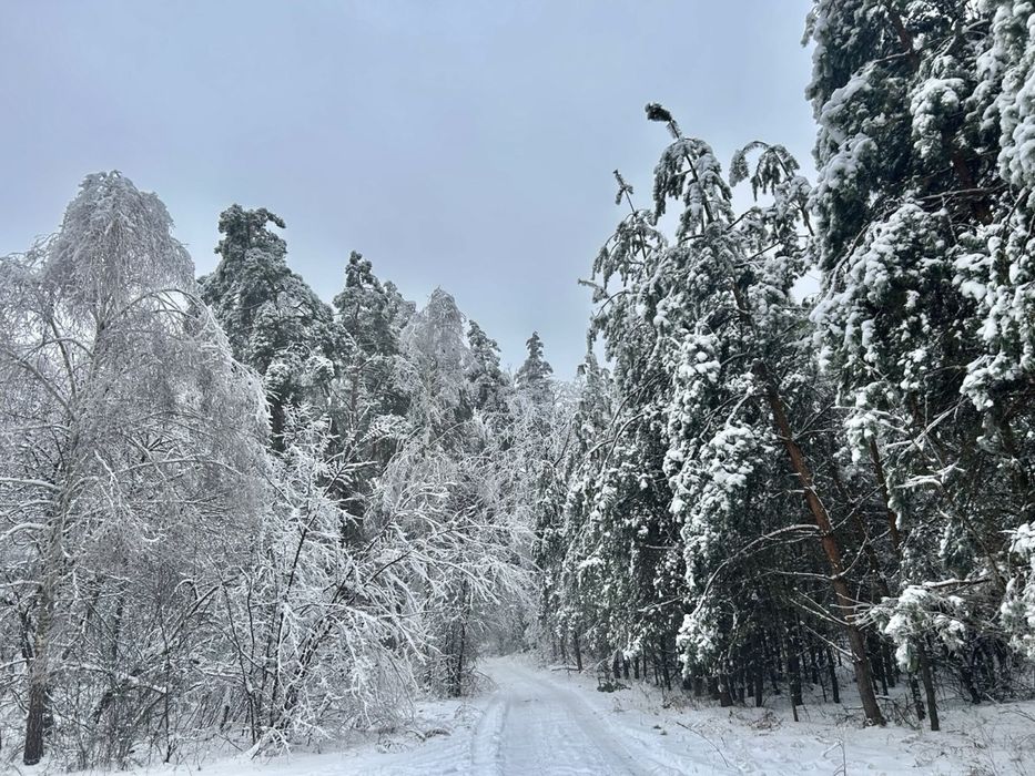Земельна ділянка 2 Га!!! Копилів ! Терміново!