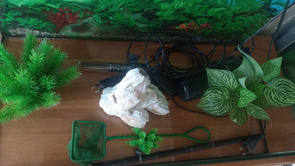 Sprzedam akwarium 60l