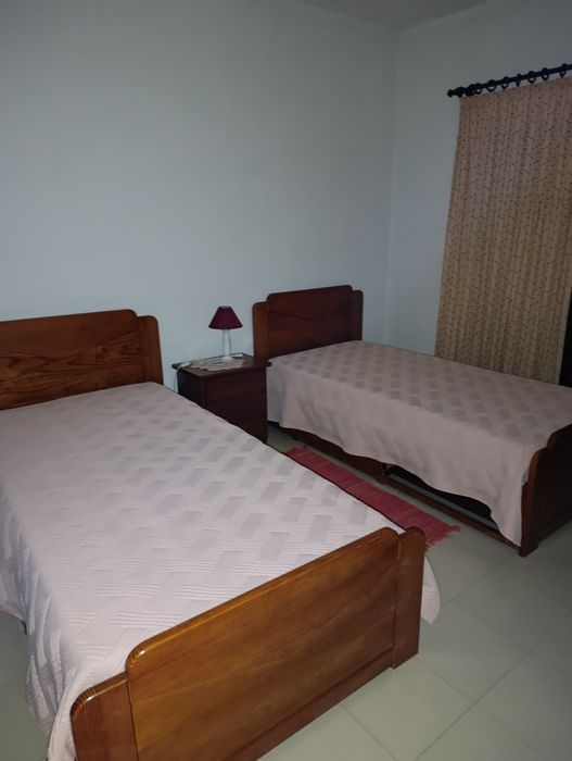 Limpeza profissional