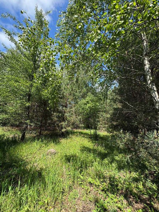 Земля серед лісу для прекрасного життя! 20хв до Києва! 4100$