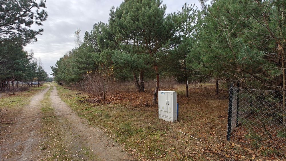 Działka budowlana Nowe Budy gmina radziejowice