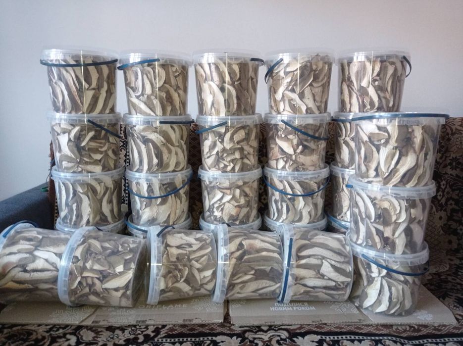 Гриби білі без піску Закарпаття