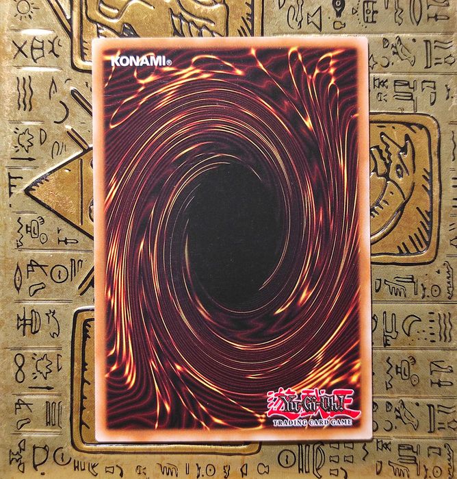 Majester Paladin, the Ascending Dracoslayer Yugioh