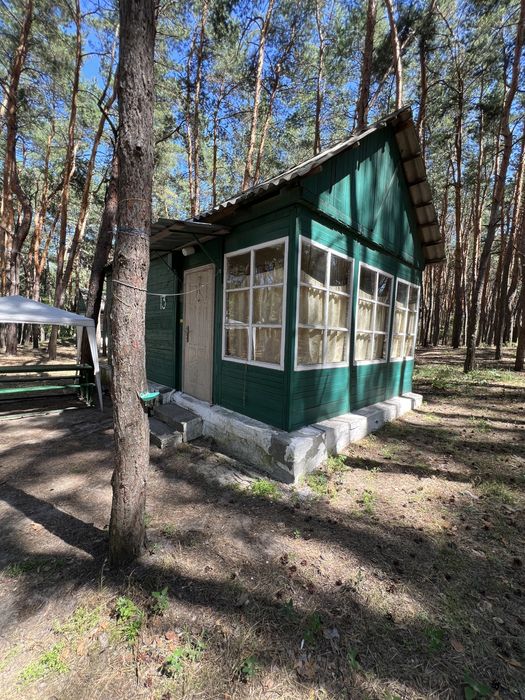 База відпочинку «ДНІПРО» у лісі, біля ріки Орель ПРОДАЖ