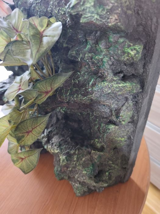 Ścianka do terrarium