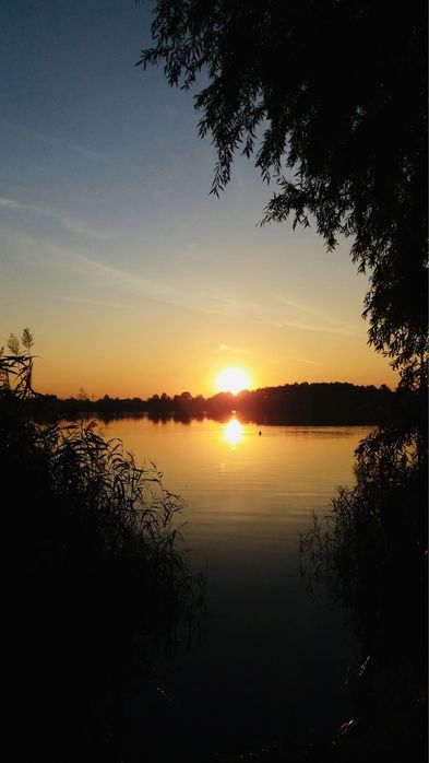 Продається  квартира в приватному будинку одноповерховому є генератор)