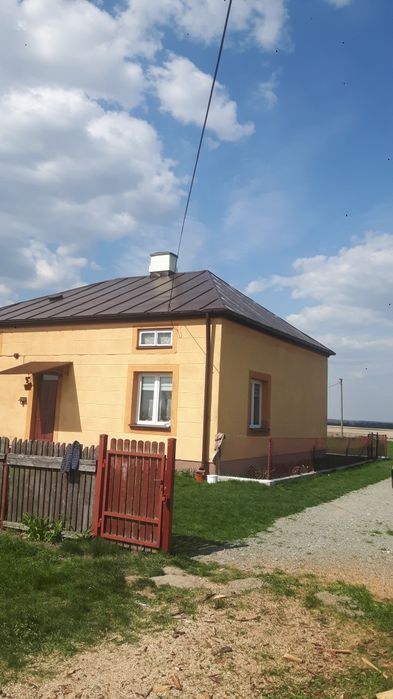 Malowanie dachów