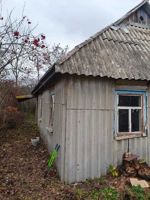 Продам будиночок з гарною земельною ділянкою  село Скригалівка