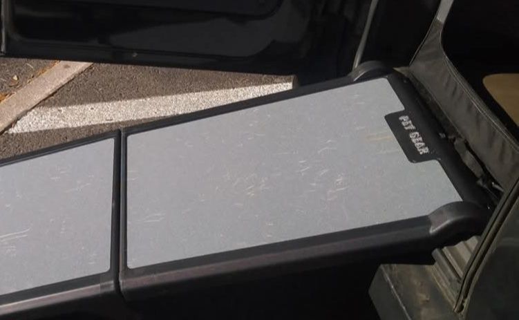 Rampa para cão grande PetGear